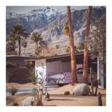 Palm Springs Pink II (Print Only) thumbnail
