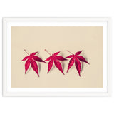 Dancing Leaves thumbnail