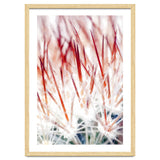 Delicate Florals thumbnail