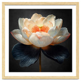Lotus Cultivar | Midnight Skirt thumbnail