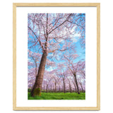 Spring in optima forma thumbnail