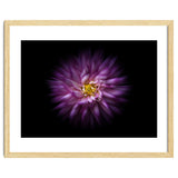 Backyard Flowers No 20 Color Flow Version thumbnail