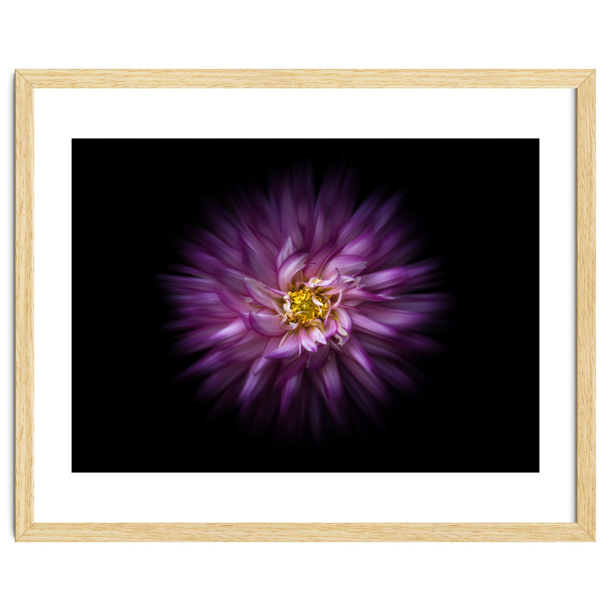 Backyard Flowers No 20 Color Flow Version