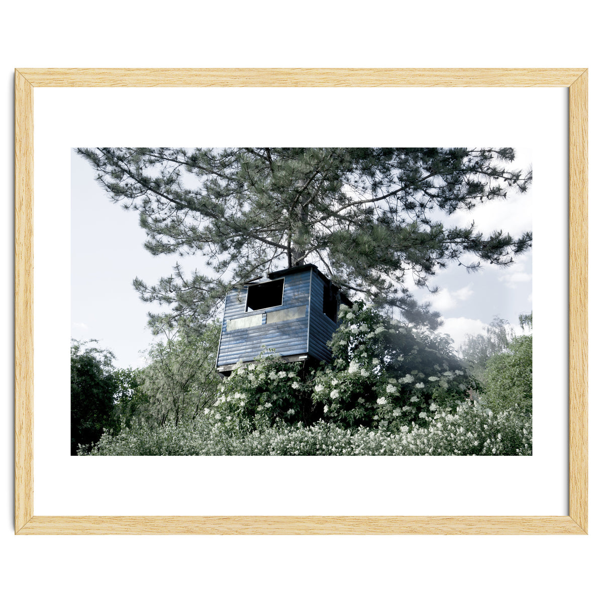 Blue hut on the tree