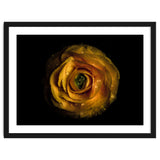 Backyard Flowers No 72 Color Version thumbnail