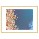 Leaves And Sky thumbnail