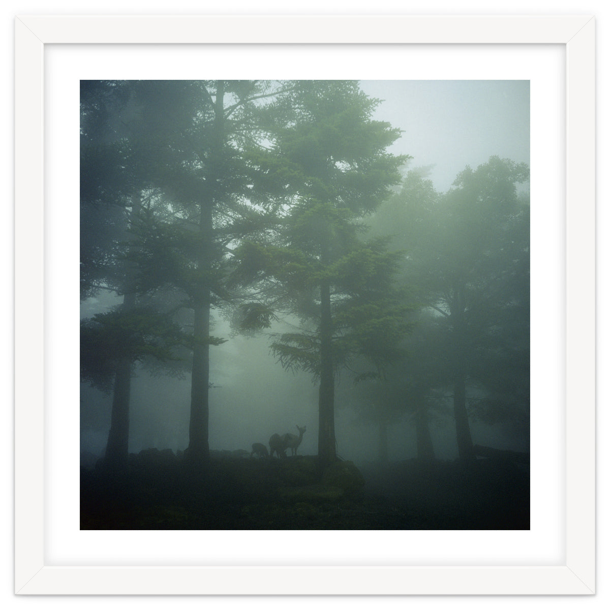 Silence of breath - 10