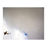 The Little Prince (Print Only) thumbnail