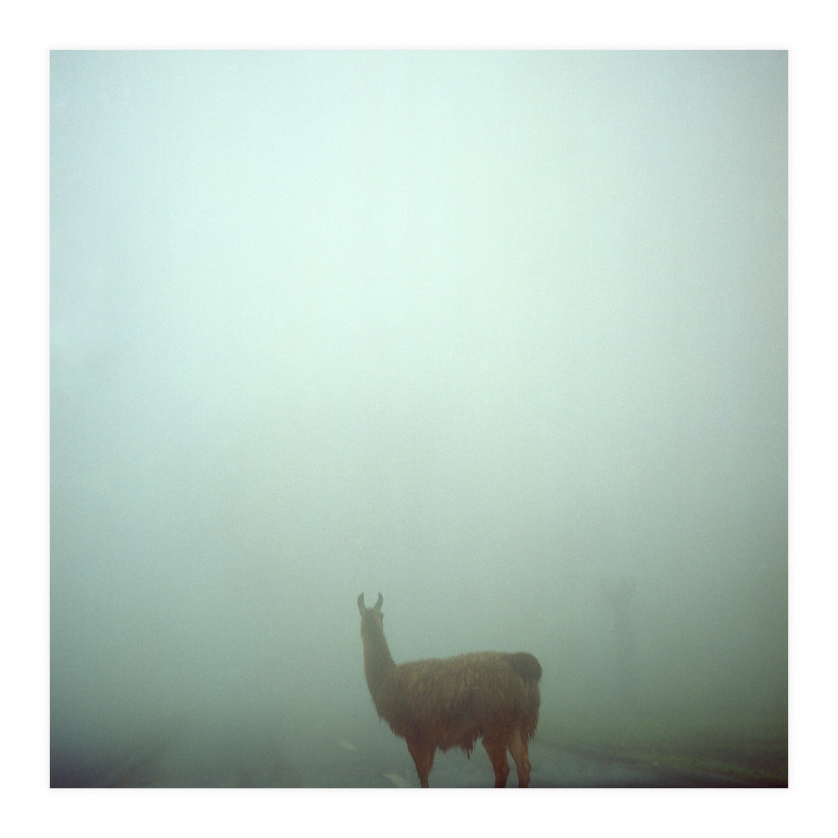 Silence of breath - 04 (Print Only)