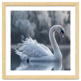 Majestic White Swan Gracefully Floating On Water thumbnail