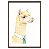 Alpaca thumbnail