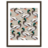 Mallards thumbnail