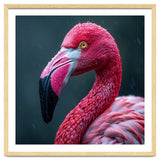 Close Up Pink Flamingo In Rain Drops thumbnail