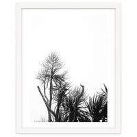 Miminalist Palm