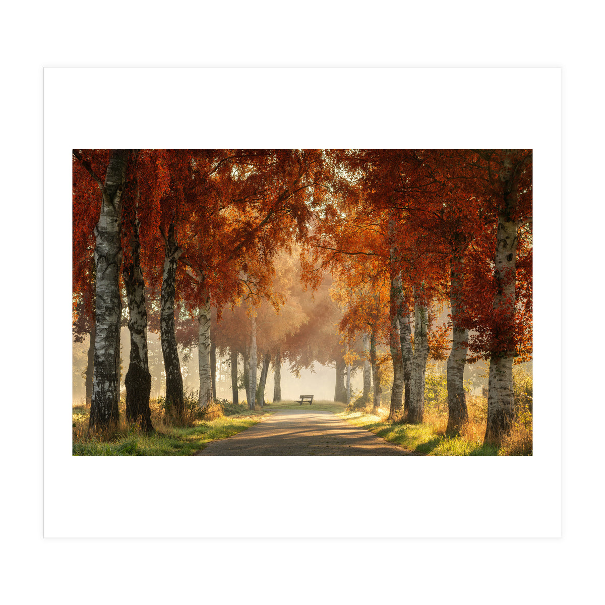 Red autumn (Print Only)