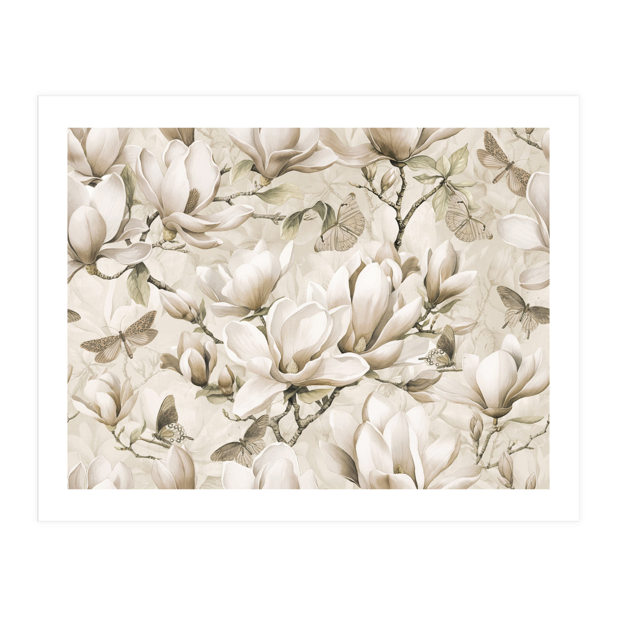 Magnolia And Butterfly Cream (Print Only)