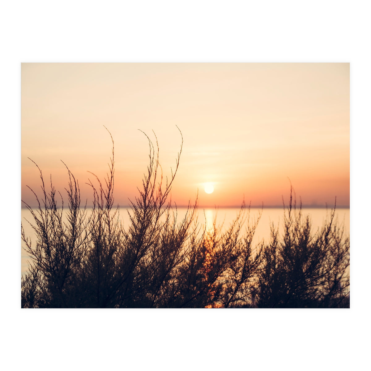 Orange Heatwave 2 (Print Only)