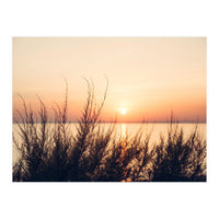 Orange Heatwave 2 (Print Only)