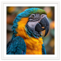 Blue And Yellow Macaw Parrot Close Up Portrait