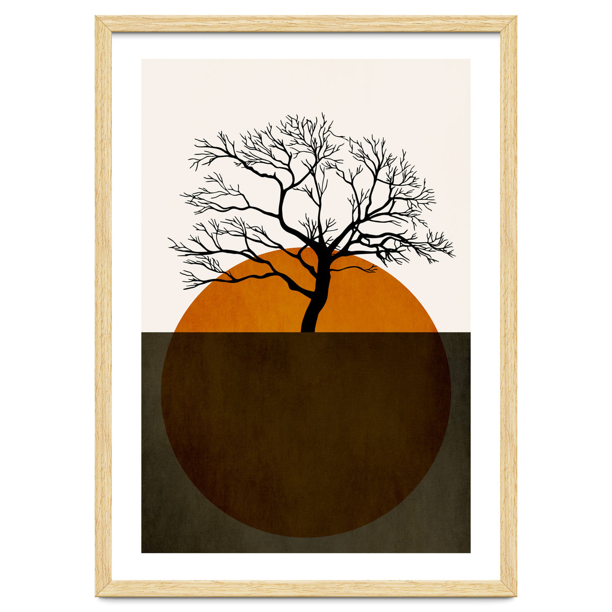 Sunny Days Of Silence