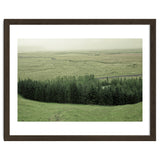 Small forest - Iceland thumbnail