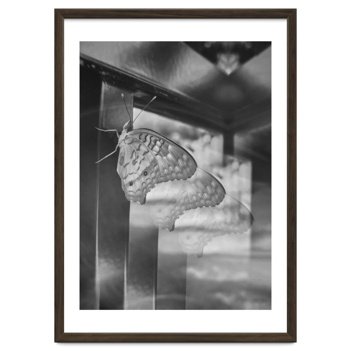 Evolving | Black & White