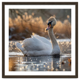 Majestic Swan On Calm Water During Sunset Nature Scene thumbnail