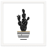 Black Cactus thumbnail