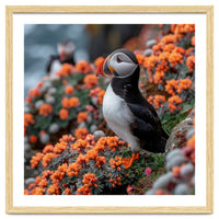 Atlantic Puffin Bird Perched On Orange Flowers
