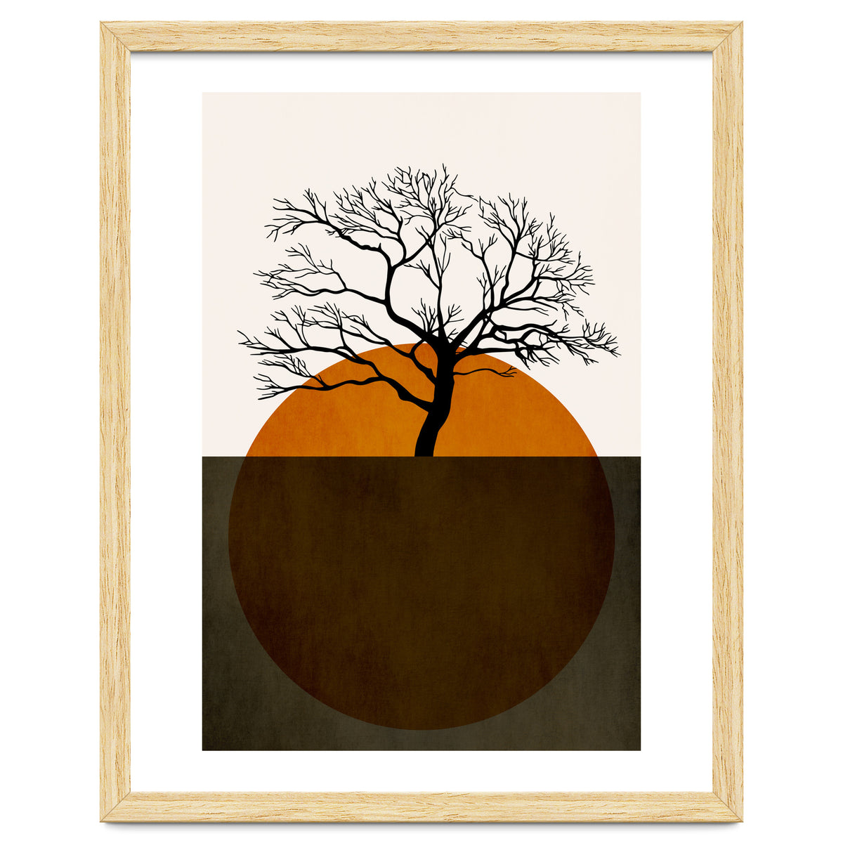 Sunny Days Of Silence