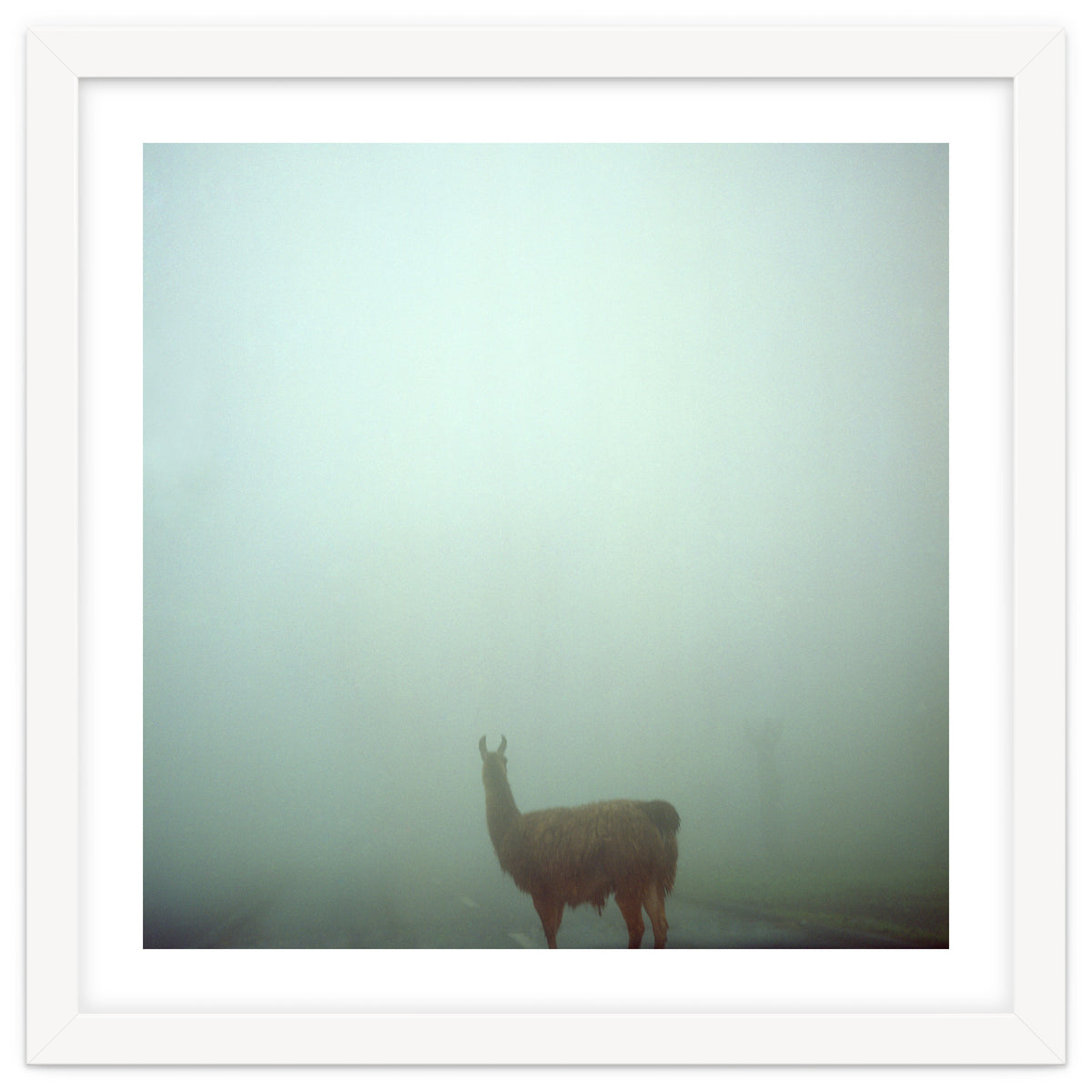 Silence of breath - 04