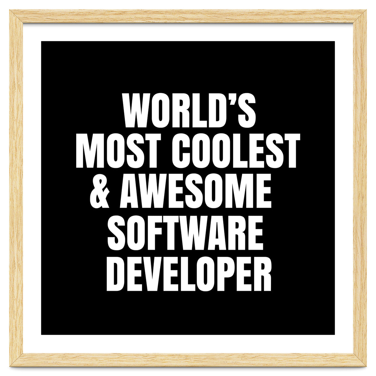 World's most coolest and awesome software developer