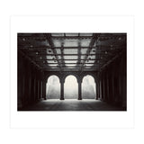 Levitation (Print Only) thumbnail