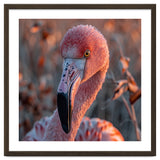 Close Up Of A Pink Flamingo Head In Sunlight thumbnail