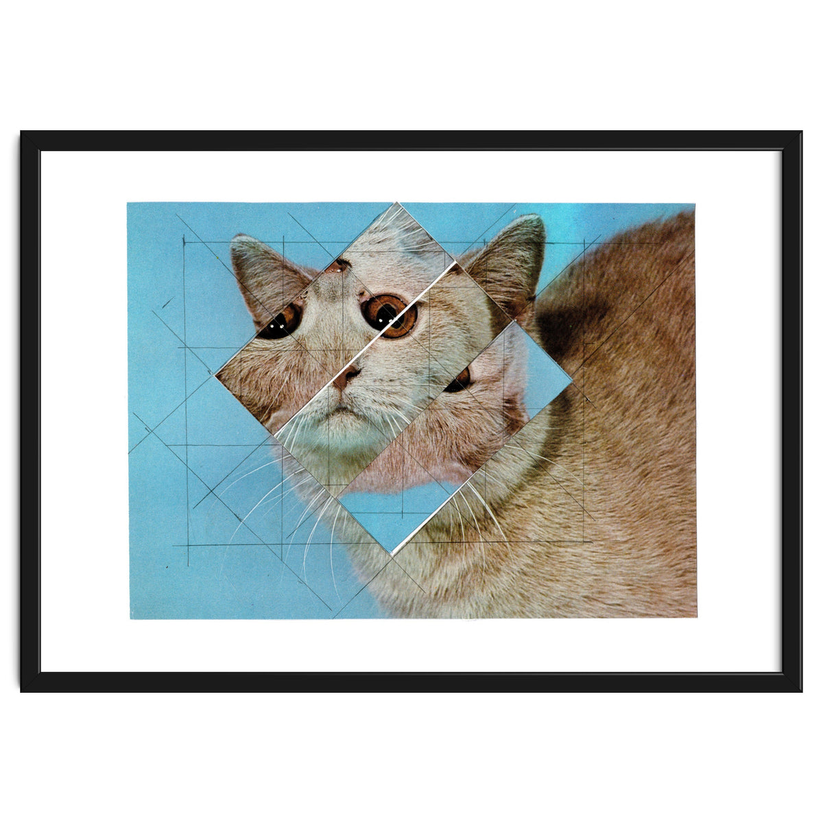 The Depressive Cat Am Abend Bekommt Den Blues