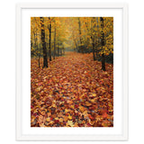 Ethereal Autumn Forest Path thumbnail
