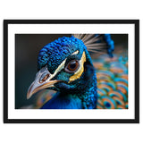 Close Up Of A Peacock Head And Eye thumbnail