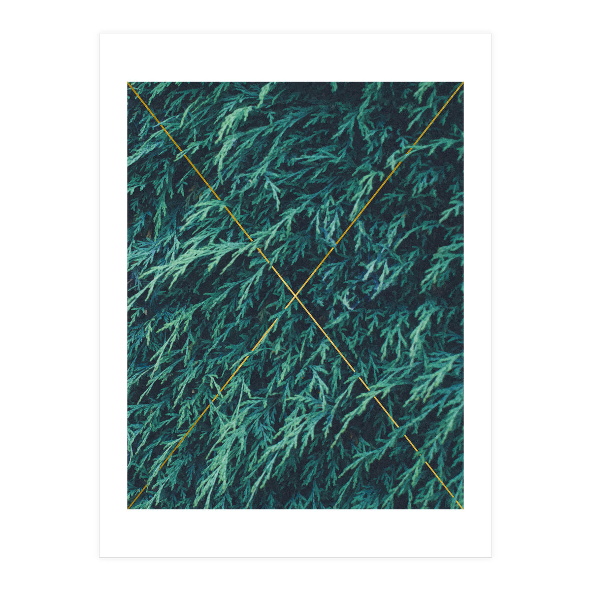 Restricted Reality (Print Only)