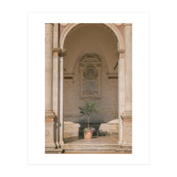 Sacred Olive Tree at the Cathedral (Print Only)