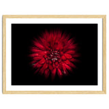 Backyard Flowers No 45 Color Flow Version thumbnail