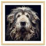 Old Dog 010 thumbnail
