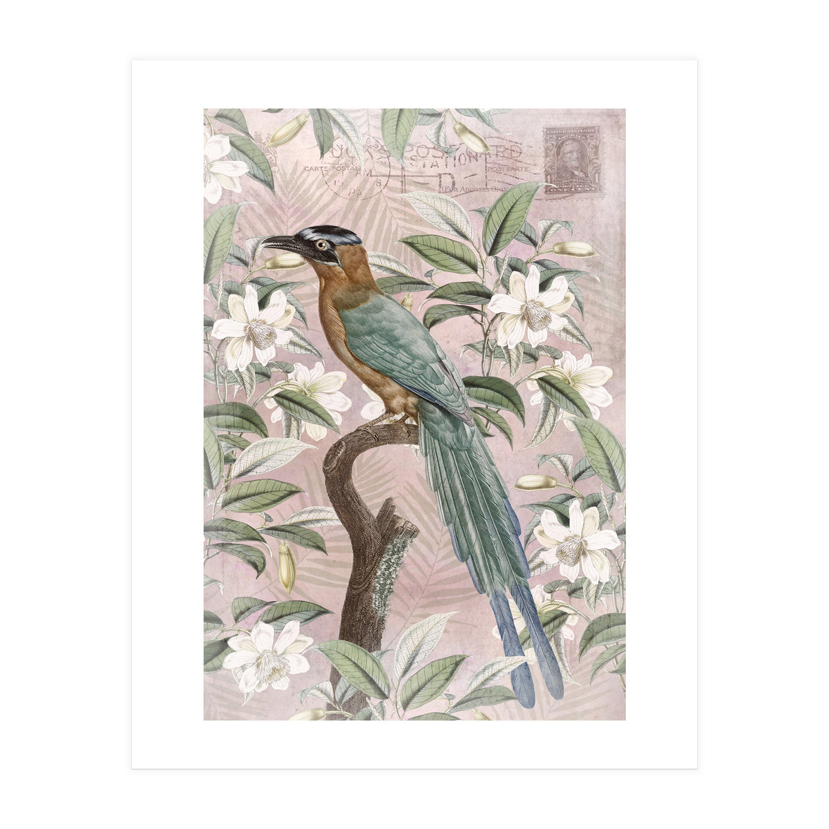 Exotic Bird (Print Only)
