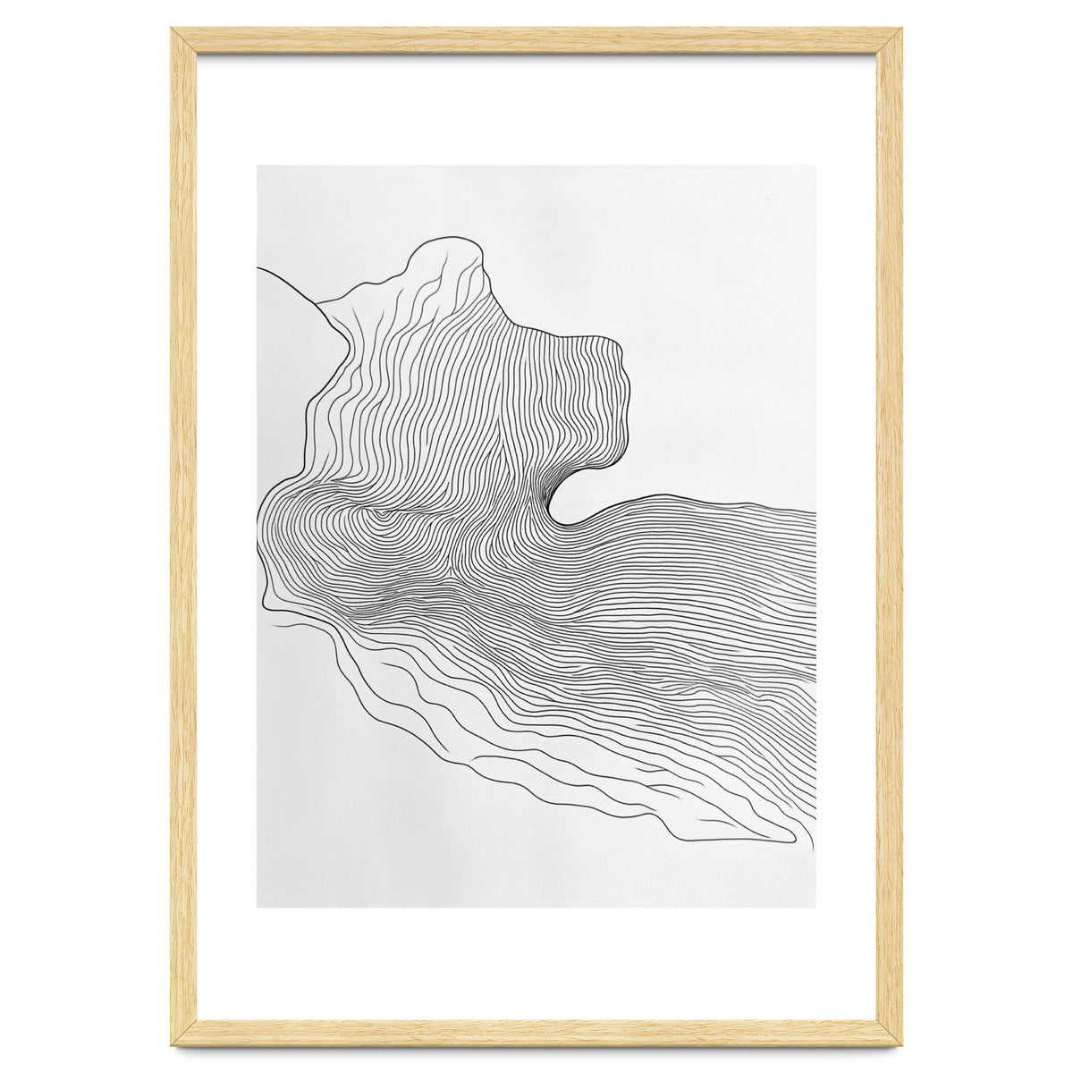 Abstract Black And White Organic Flowing Lines Pattern