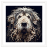 Old Dog 010 thumbnail