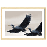 Migrating Herons thumbnail