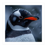 Close Up Penguin Portrait In Snowy Weather (Print Only) thumbnail