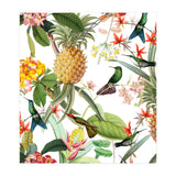Hummingbirds in tropical Jungle (Print Only) thumbnail
