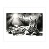Lynx Resting In Sunlight (Print Only) thumbnail