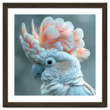 Close Up Of A White Cockatoo With Pink Crest thumbnail