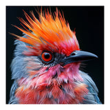 Close Up Of Exotic Bird With Vibrant Plumage (Print Only) thumbnail